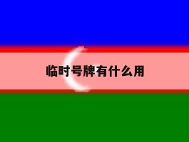 临时号牌有什么用