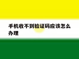 手机收不到验证码应该怎么办理