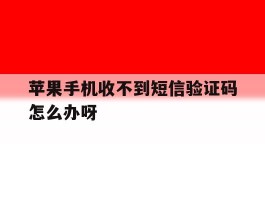 苹果手机收不到短信验证码怎么办呀