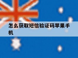包含怎么获取短信验证码苹果手机的词条