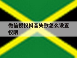 微信授权抖音失败怎么设置权限