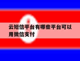 云短信平台有哪些平台可以用微信支付