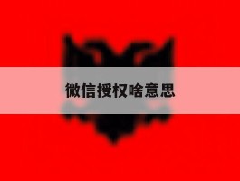 微信授权啥意思