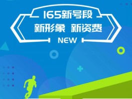 虚拟手机号165