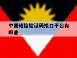 中国短信验证码接口平台有哪些