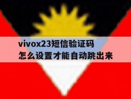 vivox23短信验证码怎么设置才能自动跳出来