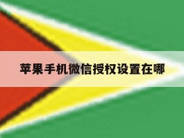 苹果手机微信授权设置在哪