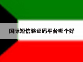 国际短信验证码平台哪个好