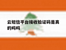 云短信平台接收验证码是真的吗吗