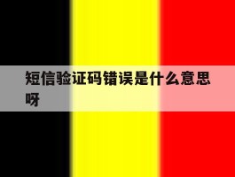 短信验证码错误是什么意思呀