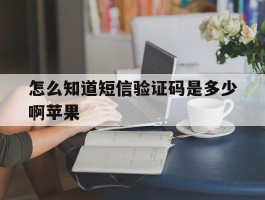 怎么知道短信验证码是多少啊苹果