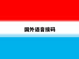 国外语音接码