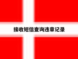 接收短信查询违章记录