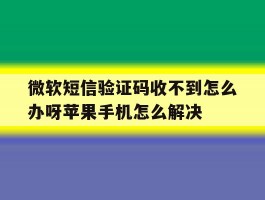 包含微软短信验证码收不到怎么办呀苹果手机怎么解决的词条
