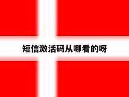 短信激活码从哪看的呀
