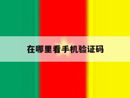 在哪里看手机验证码