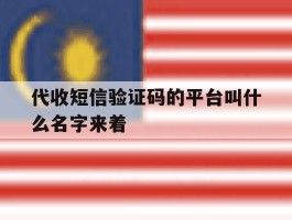 代收短信验证码的平台叫什么名字来着