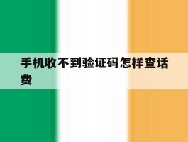 手机收不到验证码怎样查话费