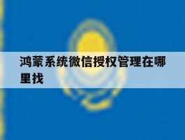 鸿蒙系统微信授权管理在哪里找