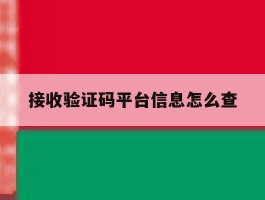 接收验证码平台信息怎么查