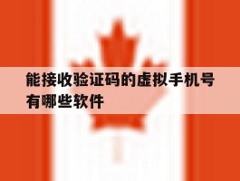 能接收验证码的虚拟手机号有哪些软件