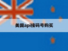 美国api接码号购买