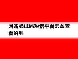网站验证码短信平台怎么查看的到