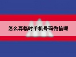 怎么弄临时手机号码微信呢