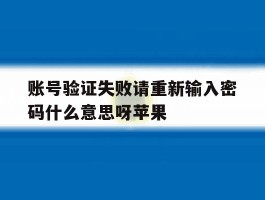 账号验证失败请重新输入密码什么意思呀苹果