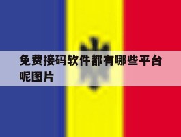 免费接码软件都有哪些平台呢图片