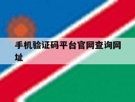 手机验证码平台官网查询网址