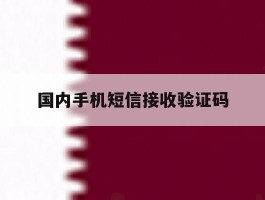 国内手机短信接收验证码