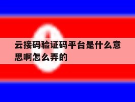 云接码验证码平台是什么意思啊怎么弄的