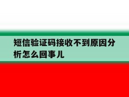 短信验证码接收不到原因分析怎么回事儿的简单介绍