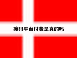 接码平台付费是真的吗