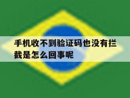 手机收不到验证码也没有拦截是怎么回事呢