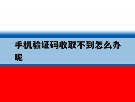 手机验证码收取不到怎么办呢