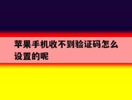 苹果手机收不到验证码怎么设置的呢