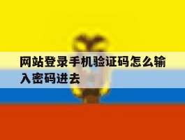 网站登录手机验证码怎么输入密码进去