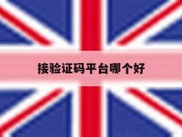 接验证码平台哪个好