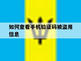 如何查看手机验证码被盗用信息
