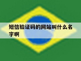 短信验证码的网站叫什么名字啊