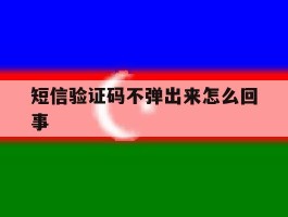 短信验证码不弹出来怎么回事