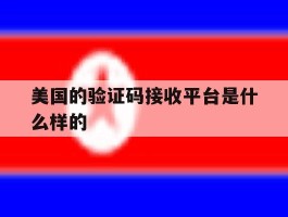 美国的验证码接收平台是什么样的