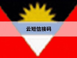 云短信接码
