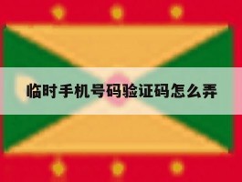 临时手机号码验证码怎么弄