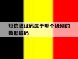 短信验证码属于哪个级别的数据编码