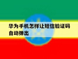 华为手机怎样让短信验证码自动弹出