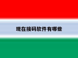 现在接码软件有哪些