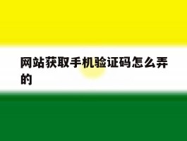 网站获取手机验证码怎么弄的